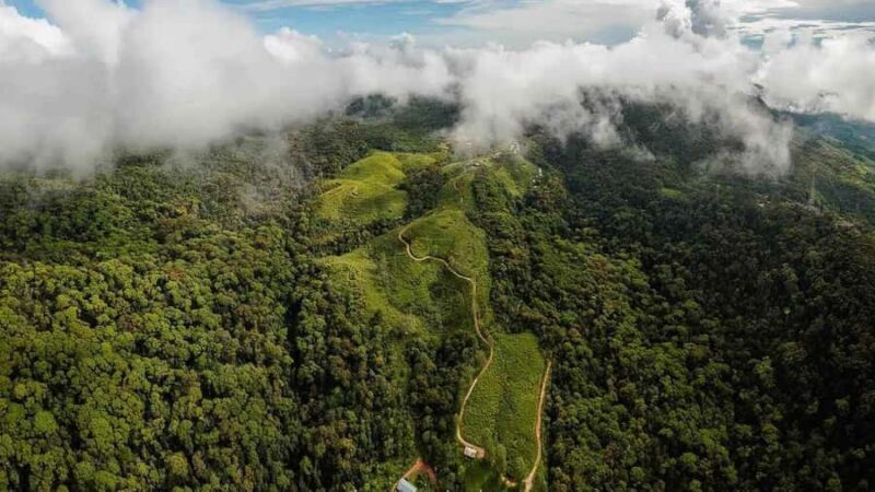 Sinharaja Rain Forest (UNESCO) & Eco 3-Day Tour with Hotel - Final Thoughts