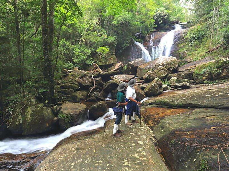 sinharaja-rain-forest-unesco-walk-and-bird-watching-day-tour