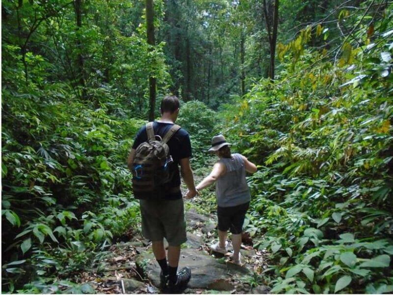 sinharaja-rain-forest-unesco-walk-and-bird-watching-day-tour