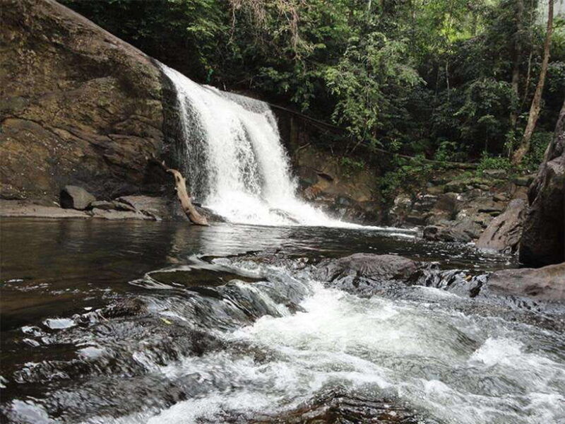 sinharaja-rain-forest-unesco-walk-and-bird-watching-day-tour