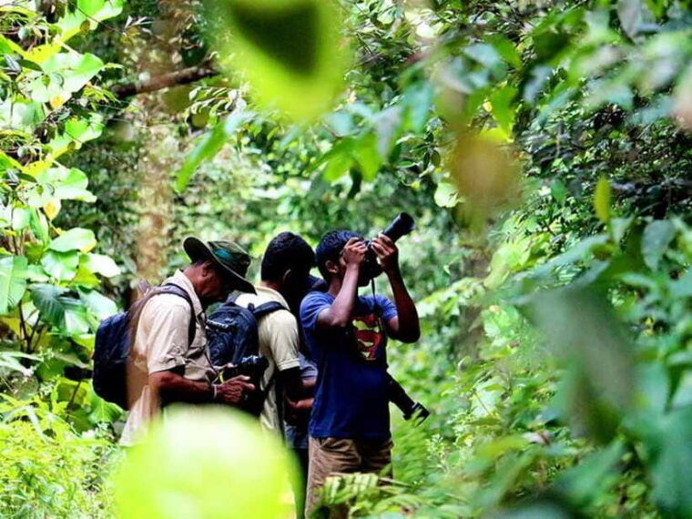 sinharaja-rain-forest-unesco-walk-and-bird-watching-day-tour