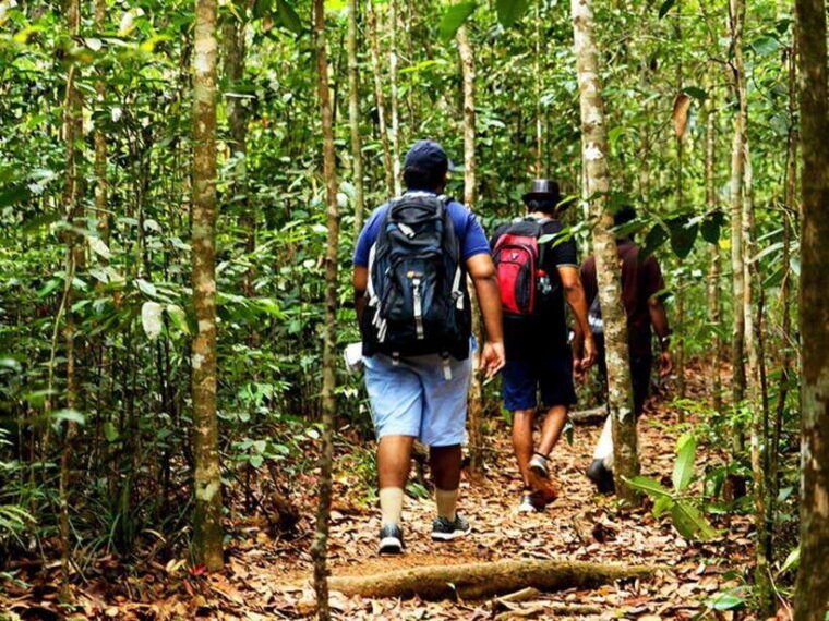 sinharaja-rain-forest-unesco-walk-and-bird-watching-day-tour