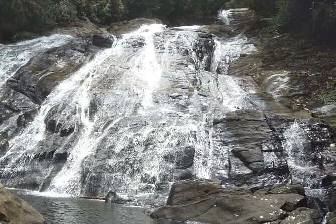 Sinharaja Rain Forest Waterfall Tour - What Travelers Say About the Experience