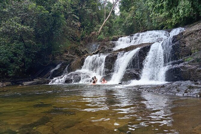 Sinharaja Rain Forest Waterfall Tour - Who Should Consider This Tour?