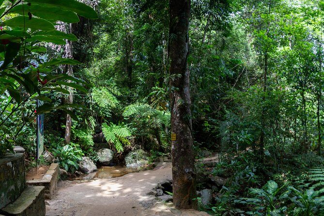 Sinharaja' rainforest - Adventure Tour (Full day) - Key Points