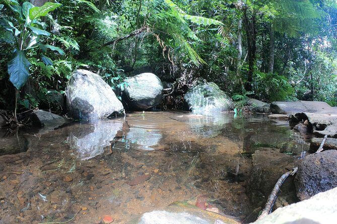 Sinharaja' rainforest - Adventure Tour (Full day) - Authentic Insights from Past Visitors