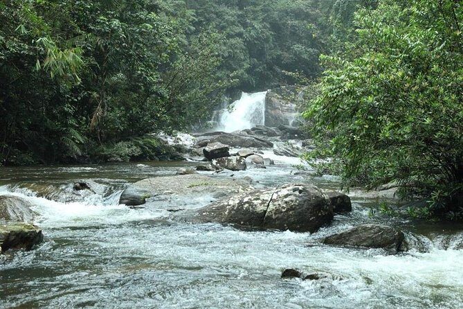 Sinharaja' rainforest - Discovery Tour (half day) - Key Points