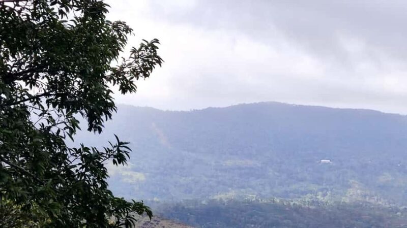 Sinharaja Rainforest Morning Bird watching walking Tour - Final Thoughts