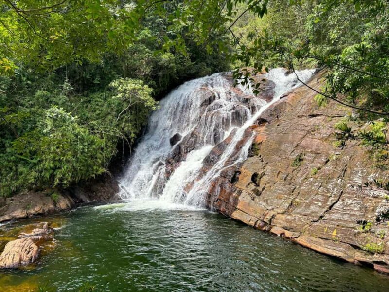 Sinharaja Rainforest: Nature Tour with Local Guide - Sinharaja Rainforest: Nature Tour with Local Guide – A Detailed Review