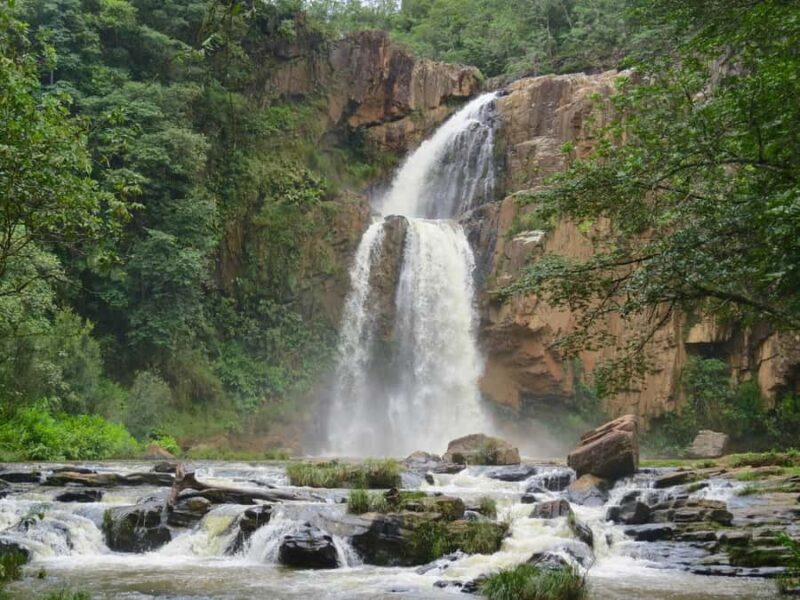 Sinharaja Rainforest: Nature Tour with Local Guide - Final Thoughts: The Value of a Guided Rainforest Walk