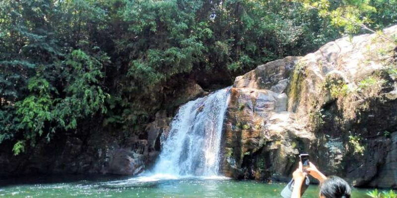 sinharaja-rainforest-private-customize-tour
