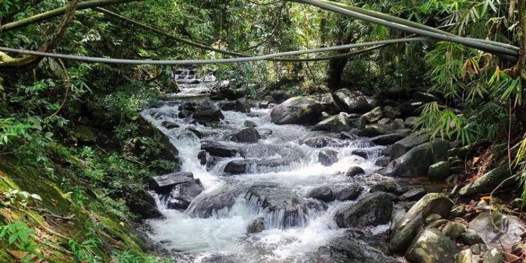 sinharaja-rainforest-private-customize-tour