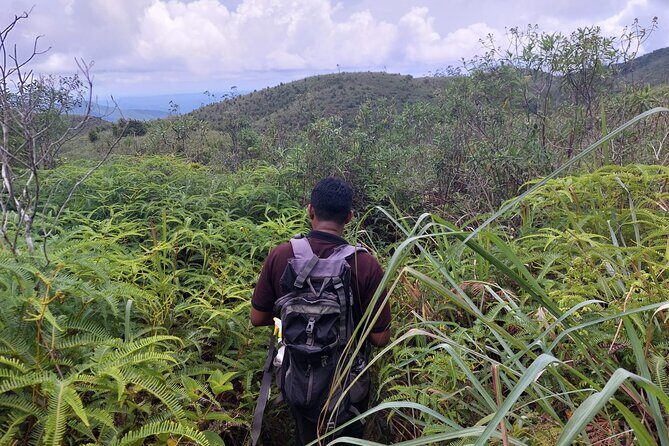 Sinharaja Rainforest Private Tours and Rainforest Entrance Ticket - The Refreshing Mountain Stream