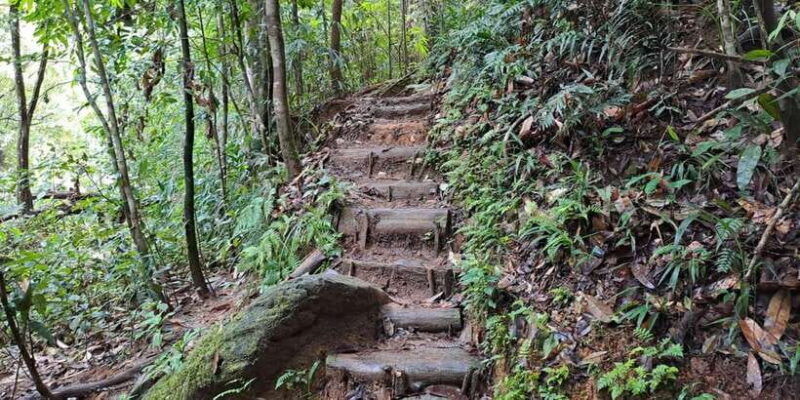 sinharaja-rainforest-tour