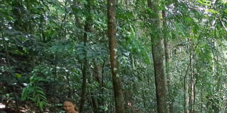 sinharaja-rainforest-tour