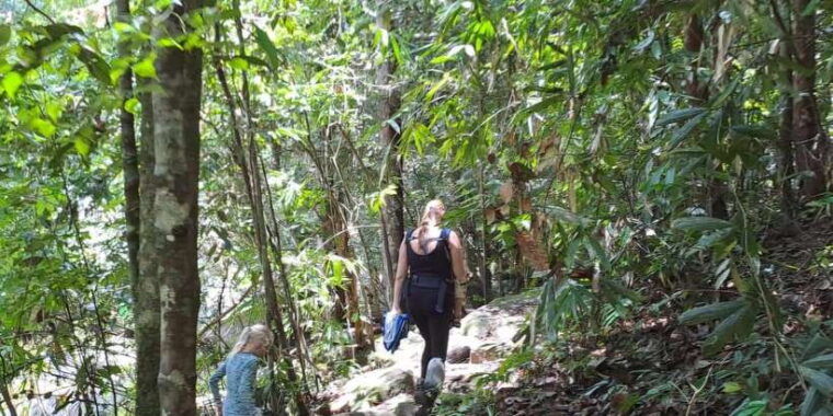 sinharaja-rainforest-tour