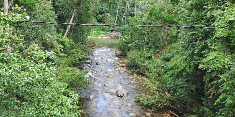 sinharaja-rainforest-tour