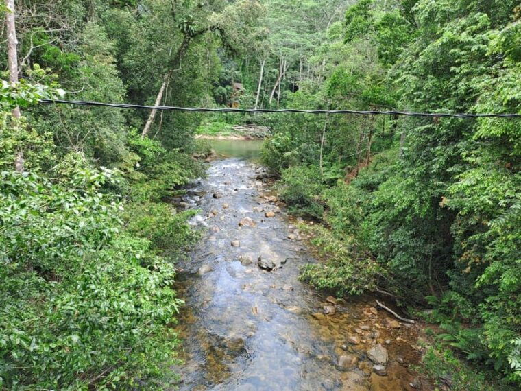 sinharaja-rainforest-tour