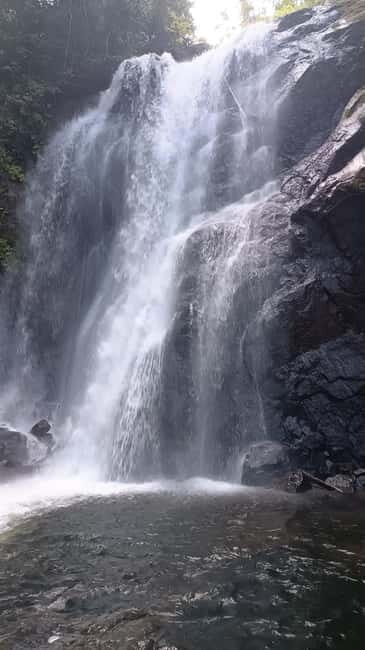 Sinharaja Rainforest: Tour with 5 Waterfalls Trek - Practical Details: How the Tour Works