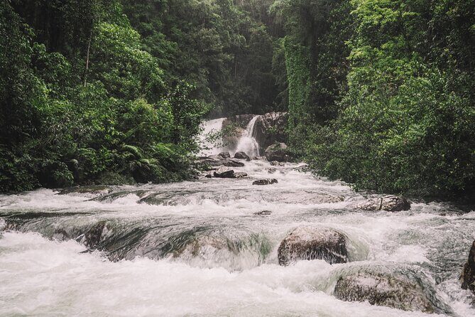 Sinharaja Rainforest Trek with Guide and Lunch - Practical Tips for Your Trek