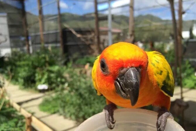 sint-maarten-island-private-tours