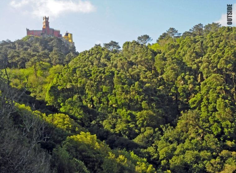 sintra-3-5-hour-rock-climbing-experience