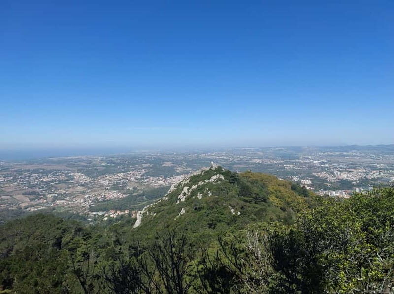 Sintra: Enchanting Palaces & Scenic Landscapes Tour - Practical Details and Value