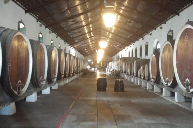 sintra-full-day-private-wine-experience-with-tastings-from-lisbon