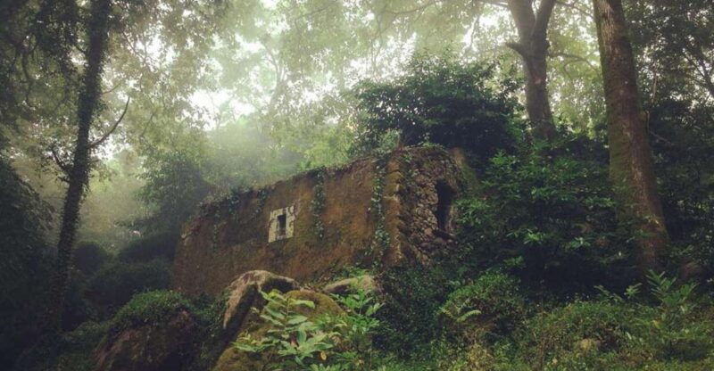 sintra-guided-visit-life-and-death-at-the-capuchos-convent