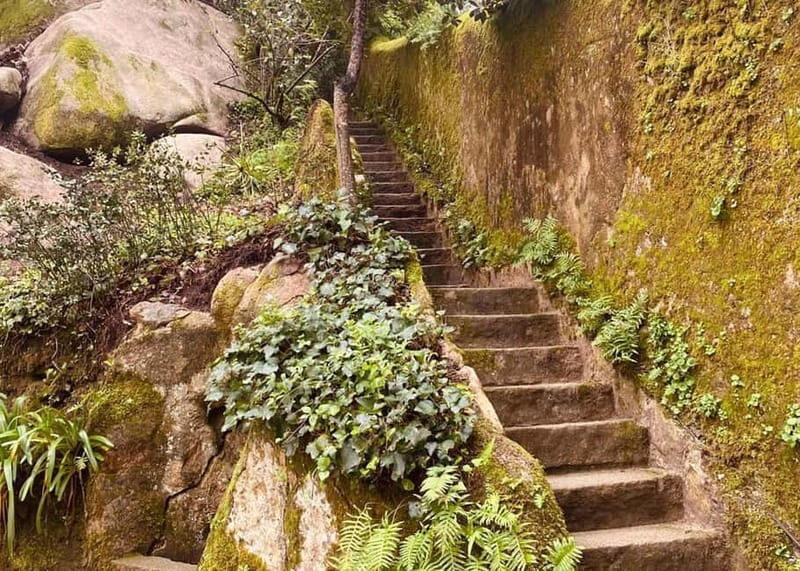 Sintra Half-Day Trip: Pena Palace & Quinta da Regaleira - Final Thoughts