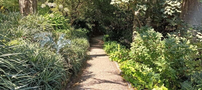 Sintra: Hidden Secrets Mountain Walk with Local Guide - Discovering Sintra’s Hidden Trails