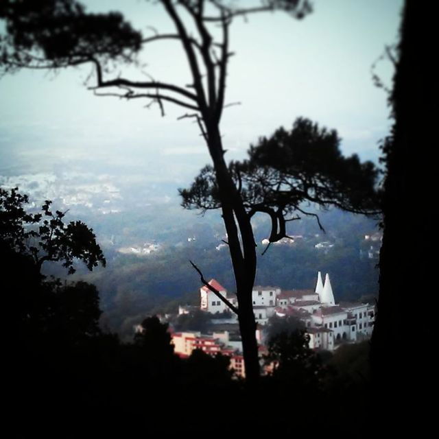 sintra-legends-and-medieval-stories-private-walking-tour
