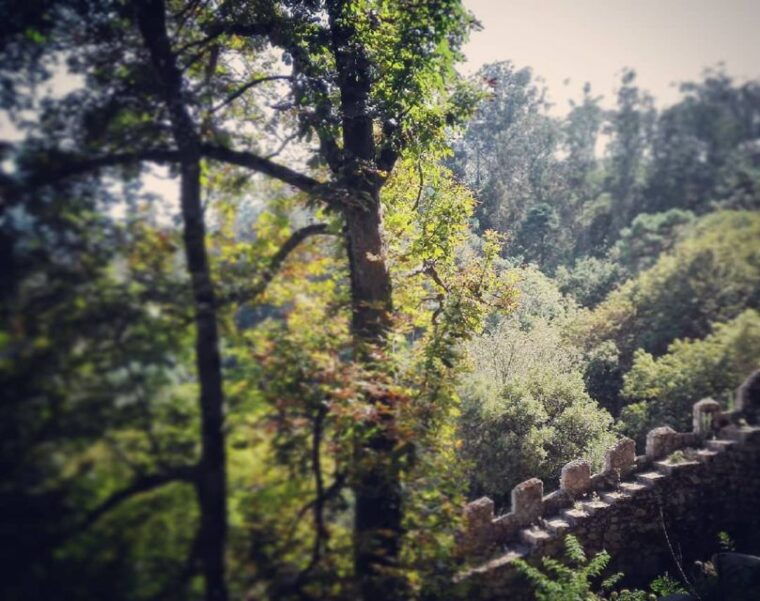 sintra-legends-and-medieval-stories-private-walking-tour