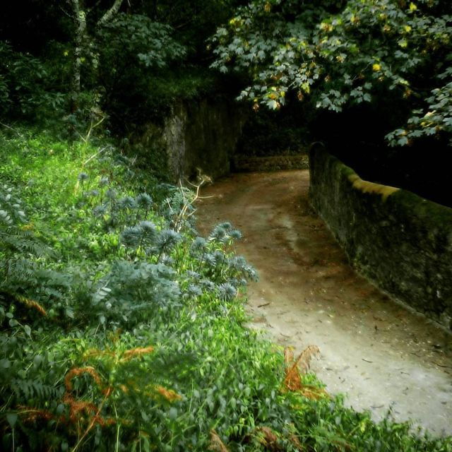 sintra-legends-and-medieval-stories-private-walking-tour