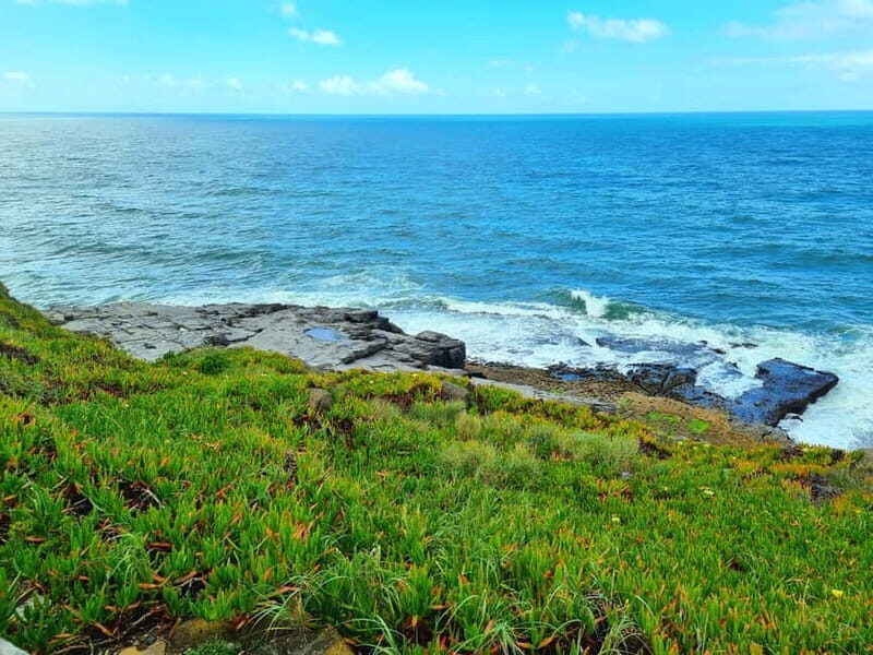 Sintra: Magoito Sunset and BBQ Tour - Who Will Love This Tour?