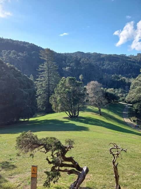 Sintra Monserrate Palace and Park Entrance E-Ticket - The Experience: What You’ll Love