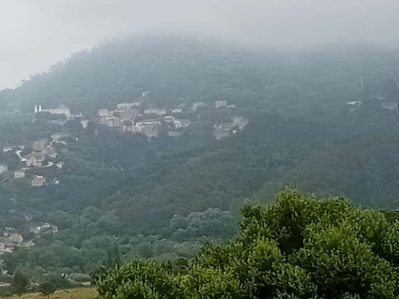 Sintra Mystic Forest Journey: Guided Tour in a Convertible. - Discover the Magic of Sintra on a Convertible Journey