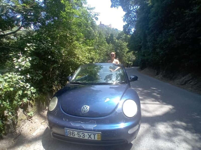 Sintra Mystic Forest Journey: Guided Tour in a Convertible. - The Scenic Drive and the Mystical Sites