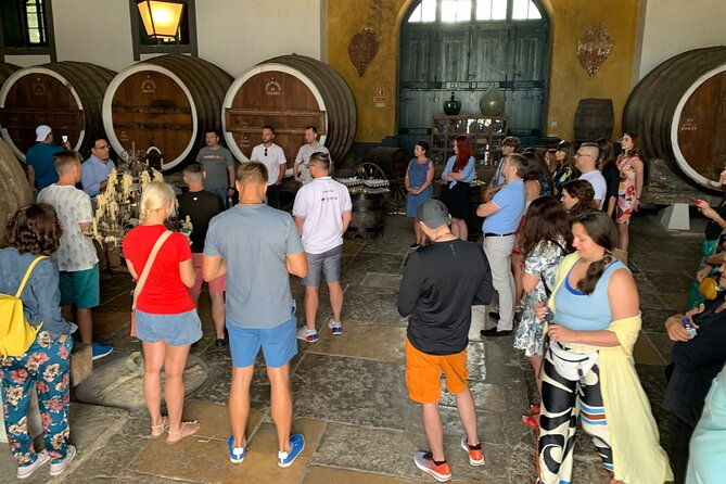 sintra-pena-palace-and-full-day-wine-tasting