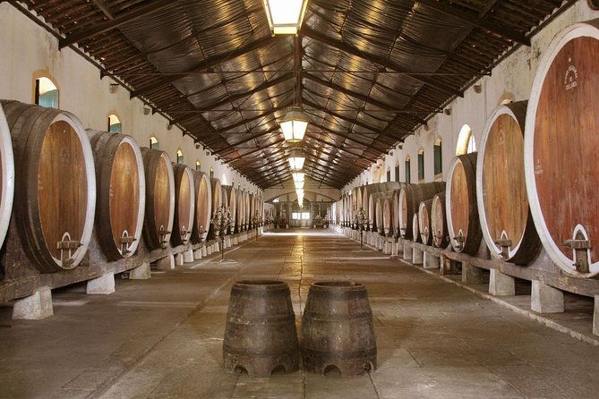 sintra-pena-palace-and-full-day-wine-tasting