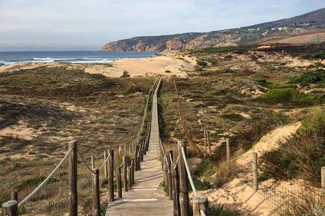 sintra-pena-palace-and-full-day-wine-tasting