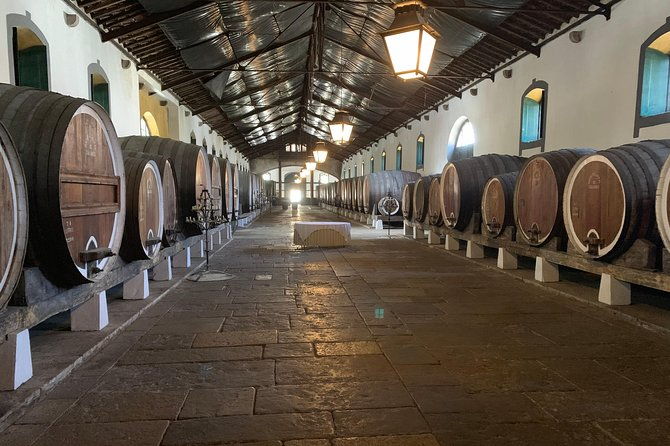 sintra-pena-palace-and-full-day-wine-tasting