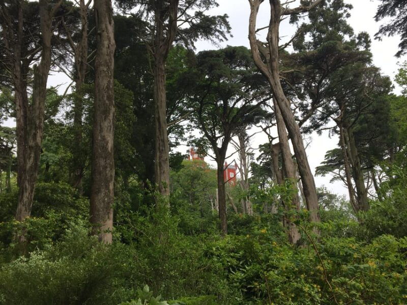 sintra-pena-palace-guided-tour