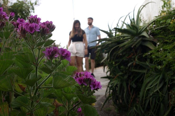 sintra-pena-regaleira-monserrate