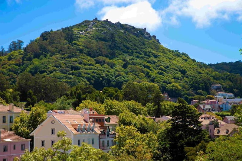 Sintra: Private Sightseeing Tuk Tuk Tour with Local Guide - The Perfect Audience for This Tour