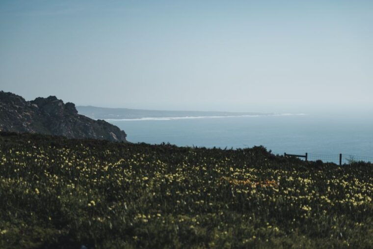 sintra-regaleira-cabo-da-roca-and-cascais-jeep-safari-tour