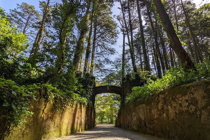sintra-small-group-tour-from-lisbon-pena-palace-ticket-included