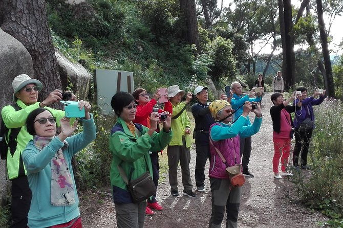 sintra-with-tickets-to-monuments-private-tour-from-lisbon