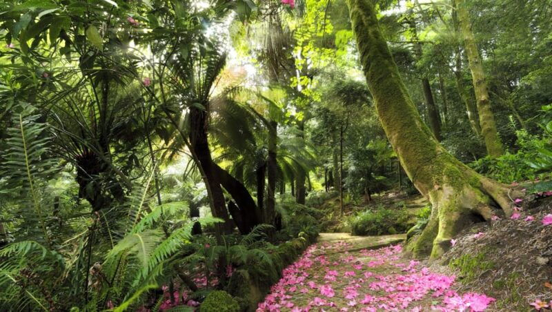 sintrawalking-tour-guided-visit-and-hidden-gems