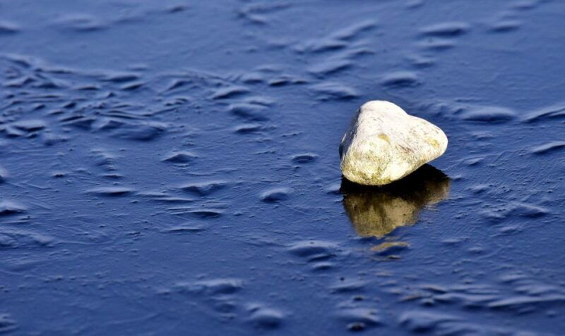 sip-savor-ston-and-peljesac-vineyards-extravaganza